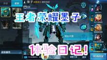 王者大主播爆料视频大全,揭秘游戏幕后精彩瞬间